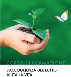 solo-immagine